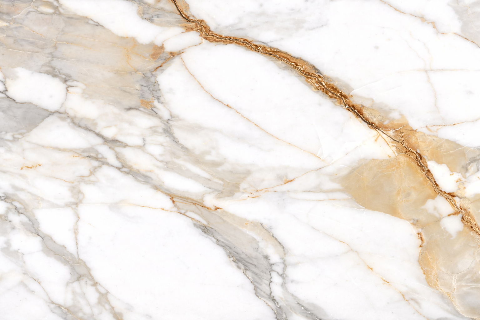 Carrelage Intérieur Calacatta Golden 60x120