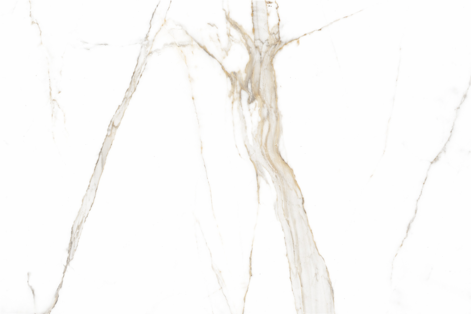 Carrelage Intérieur Calacutta Regal 60x120